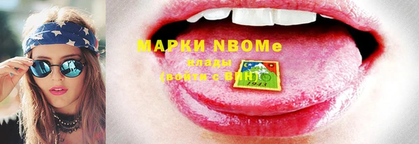 дживик Богородск