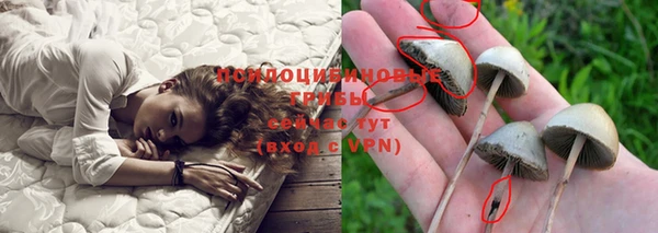 меф Богданович