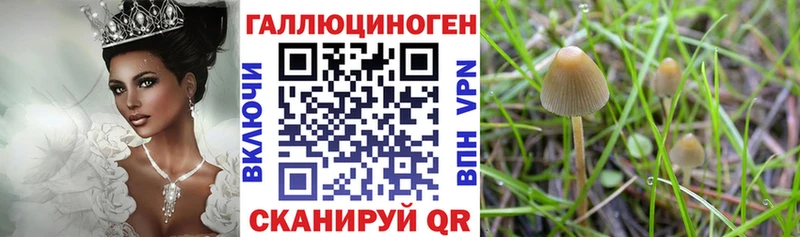 Псилоцибиновые грибы Psilocybe  Электроугли 